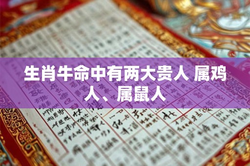 生肖牛命中有两大贵人 属鸡人、属鼠人