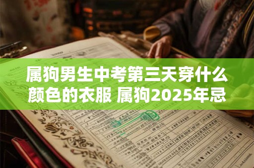 属狗男生中考第三天穿什么颜色的衣服 属狗2025年忌讳色