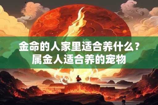 金命的人家里适合养什么？属金人适合养的宠物