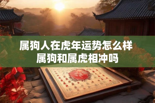 属狗人在虎年运势怎么样 属狗和属虎相冲吗