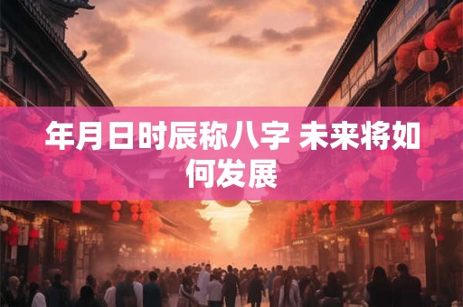年月日时辰称八字 未来将如何发展