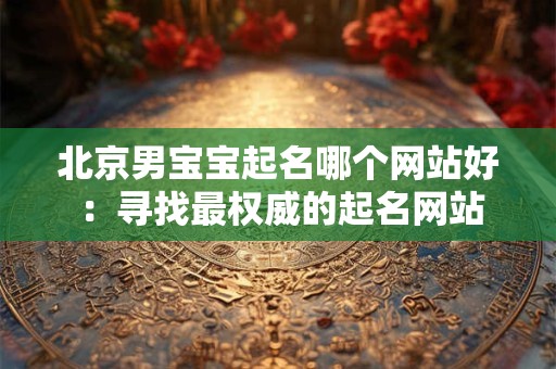 北京男宝宝起名哪个网站好 ：寻找最权威的起名网站