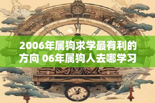 2006年属狗求学最有利的方向 06年属狗人去哪学习好