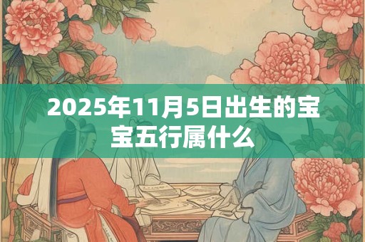 2026年11月5日出生的宝宝五行属什么