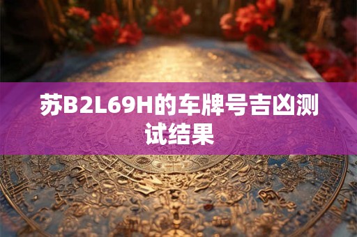 苏B2L69H的车牌号吉凶测试结果