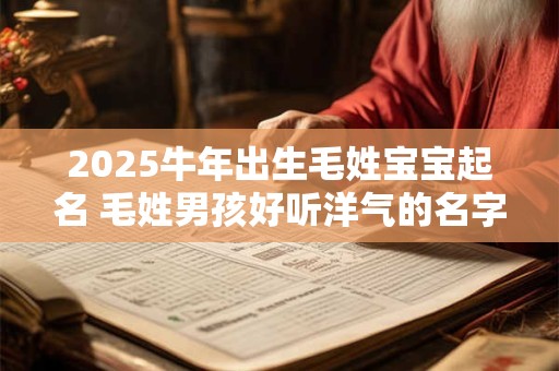 2025牛年出生毛姓宝宝起名 毛姓男孩好听洋气的名字