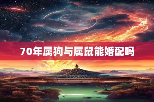 70年属狗与属鼠能婚配吗
