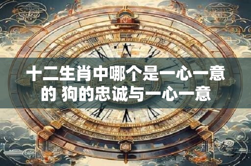 十二生肖中哪个是一心一意的 狗的忠诚与一心一意