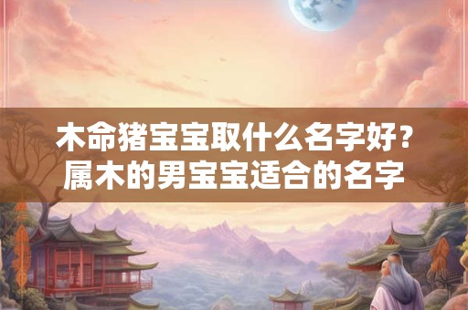 木命猪宝宝取什么名字好？属木的男宝宝适合的名字