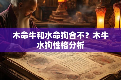 木命牛和水命狗合不？木牛水狗性格分析