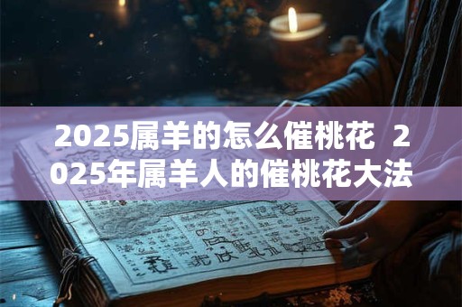 2025属羊的怎么催桃花  2025年属羊人的催桃花大法