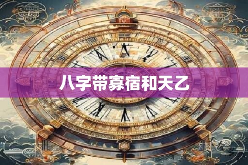 八字带寡宿和天乙