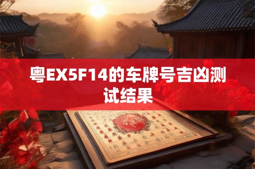 粤EX5F14的车牌号吉凶测试结果