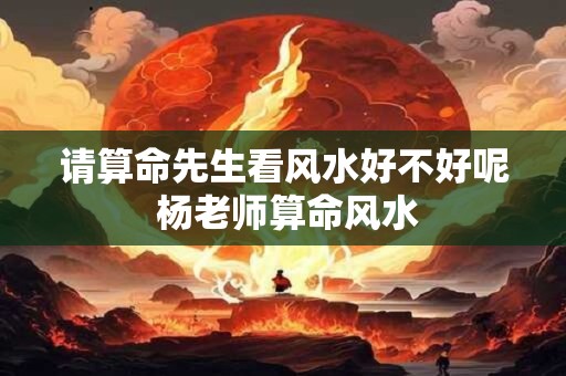 请算命先生看风水好不好呢 杨老师算命风水