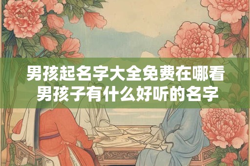 男孩起名字大全免费在哪看 男孩子有什么好听的名字