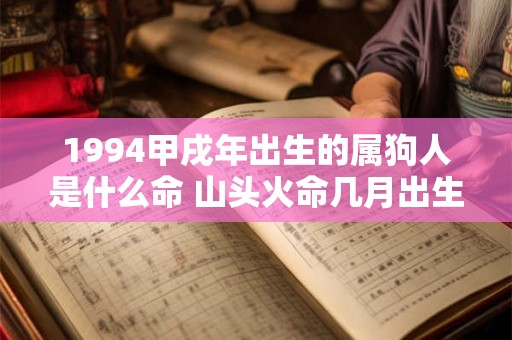 1994甲戌年出生的属狗人是什么命 山头火命几月出生最好