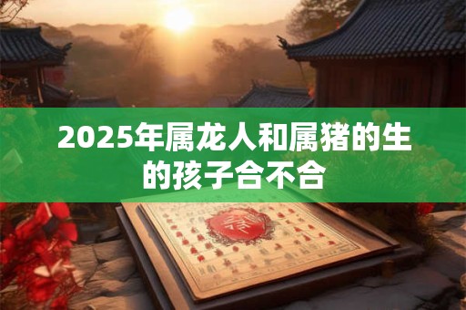 2025年属龙人和属猪的生的孩子合不合