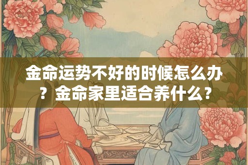 金命运势不好的时候怎么办?金命家里适合养什么? 金命运势不好的时候怎么办?金命家里适合养什么?