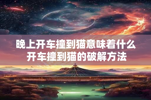 晚上开车撞到猫意味着什么 开车撞到猫的破解方法