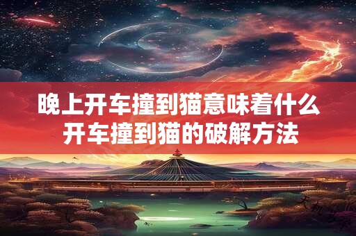 晚上开车撞到猫意味着什么 开车撞到猫的破解方法