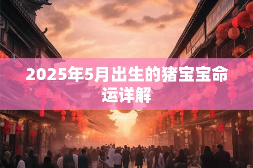 2025年5月出生的猪宝宝命运详解 2025年5月出生的猪宝宝命运详解