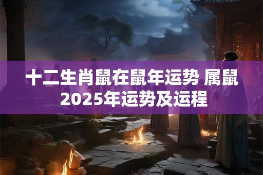 十二生肖鼠在鼠年运势 属鼠 2025年运势及运程