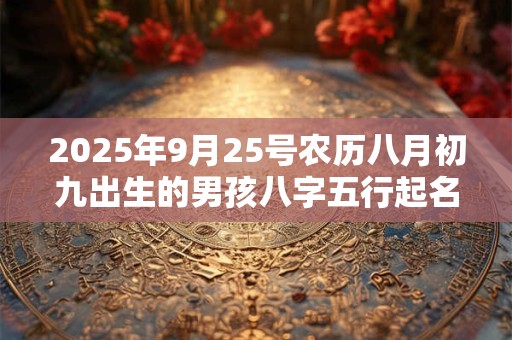 2025年9月25号农历八月初九出生的男孩八字五行起名字