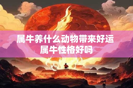属牛养什么动物带来好运 属牛性格好吗