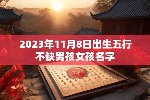 2023年11月8日出生五行不缺男孩女孩名字