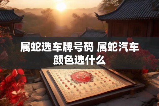 属蛇选车牌号码 属蛇汽车颜色选什么