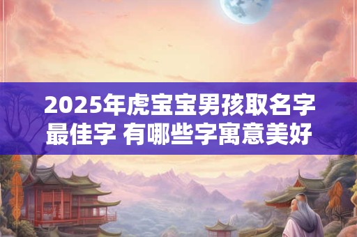 2025年虎宝宝男孩取名字最佳字 有哪些字寓意美好