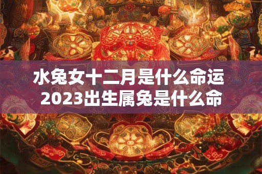 水兔女十二月是什么命运 2023出生属兔是什么命