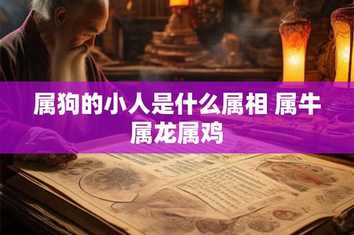 属狗的小人是什么属相 属牛属龙属鸡