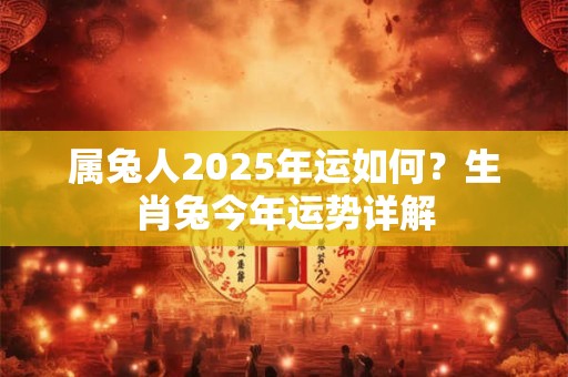 属兔人2026年运如何？生肖兔今年运势详解
