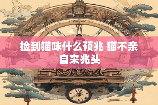 捡到猫咪什么预兆 猫不亲自来兆头
