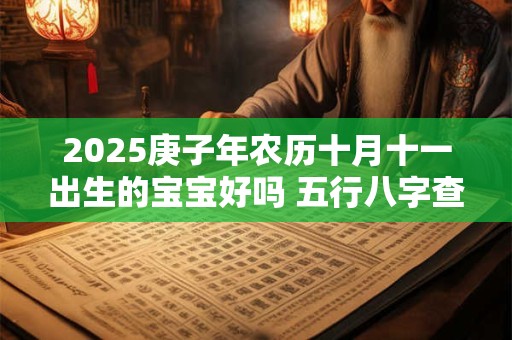2025庚子年农历十月十一出生的宝宝好吗 五行八字查询