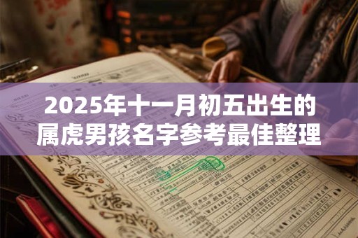 2026年十一月初五出生的属虎男孩名字参考最佳整理 2026年十一月初五出生的属虎男孩名字参考最佳整理