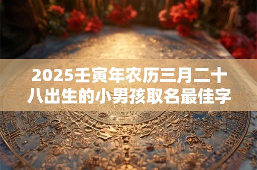 2025壬寅年农历三月二十八出生的小男孩取名最佳字,取什么名字好