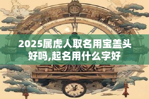 2025属虎人取名用宝盖头好吗,起名用什么字好