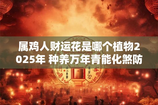 属鸡人财运花是哪个植物2025年 种养万年青能化煞防小人