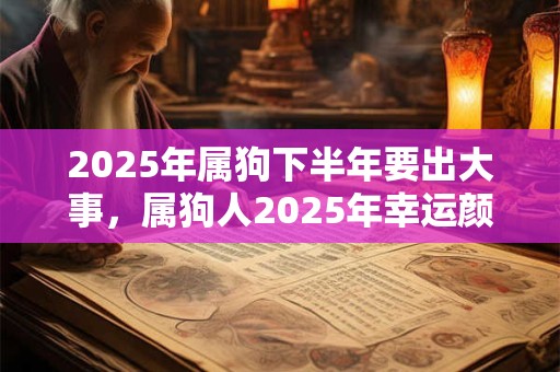 2025年属狗下半年要出大事，属狗人2025年幸运颜色