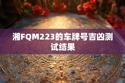 湘FQM223的车牌号吉凶测试结果