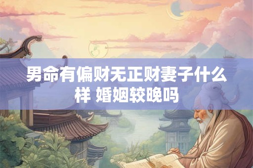 男命有偏财无正财妻子什么样 婚姻较晚吗