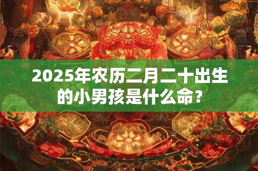 2025年农历二月二十出生的小男孩是什么命？