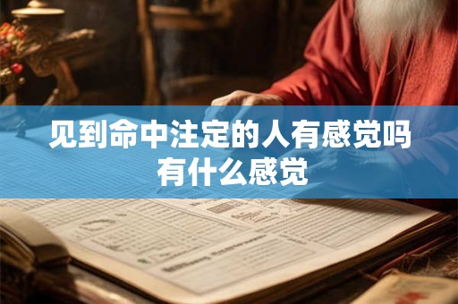 见到命中注定的人有感觉吗 有什么感觉