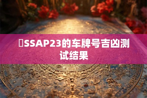 粵SSAP23的车牌号吉凶测试结果