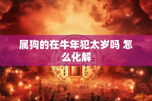 属狗的在牛年犯太岁吗 怎么化解