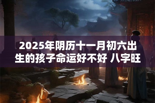 2025年阴历十一月初六出生的孩子命运好不好 八字旺吗