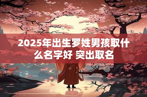 2025年出生罗姓男孩取什么名字好 突出取名 2025年出生罗姓男孩取什么名字好 突出取名