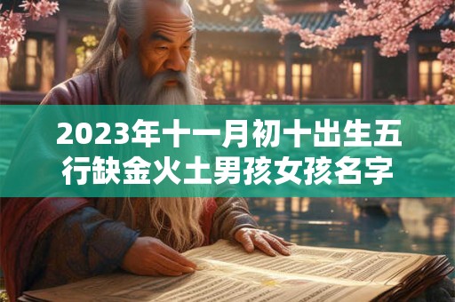 2023年十一月初十出生五行缺金火土男孩女孩名字